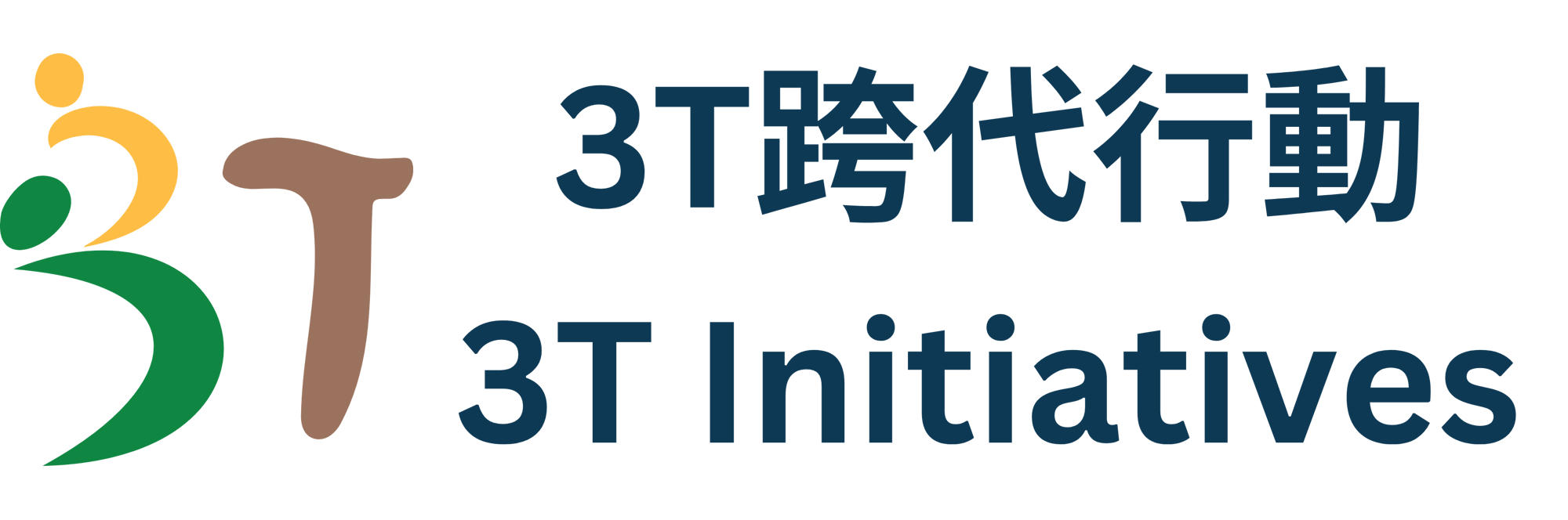 3T Initiatives 3T